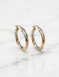 3 Tones Earrings